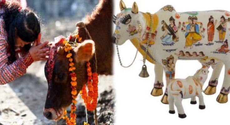 interestung facts about cow worship in inida